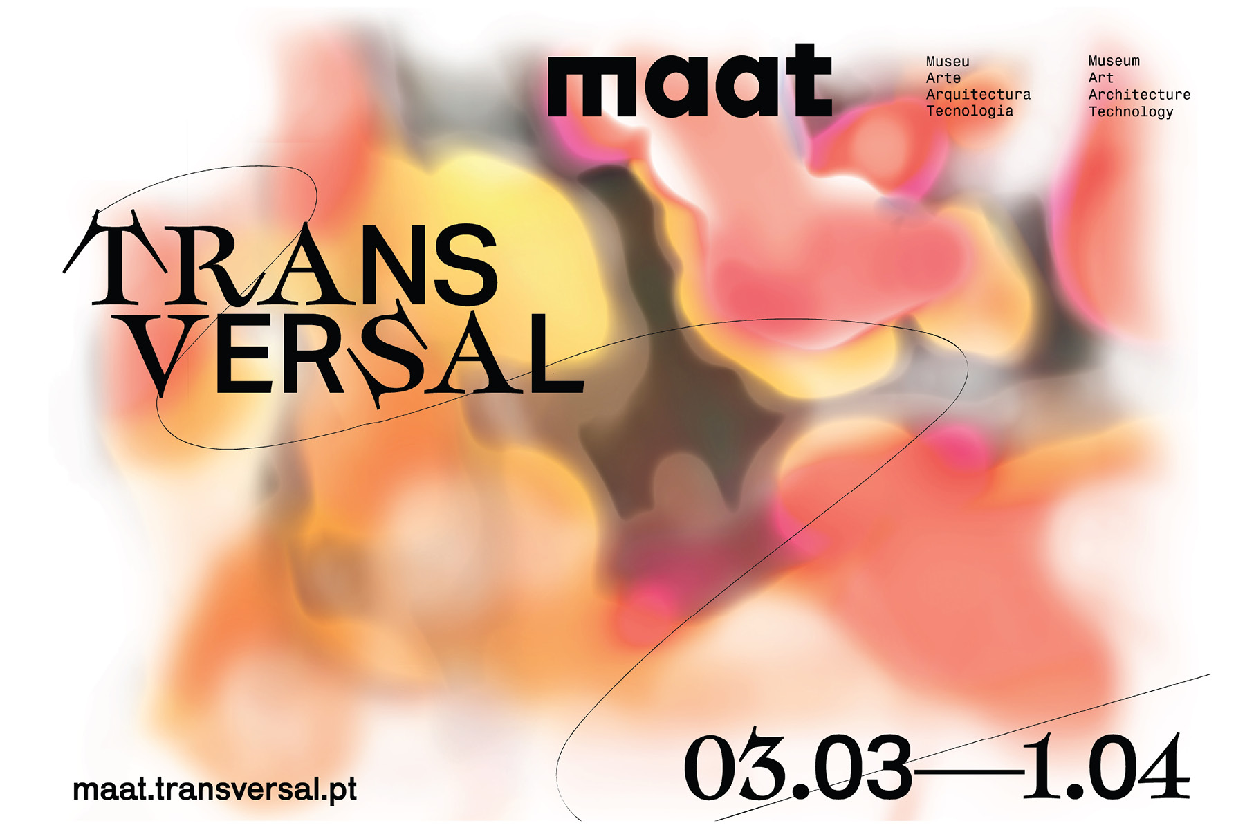 maat-transversal